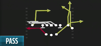 The New England Patriots Playbook